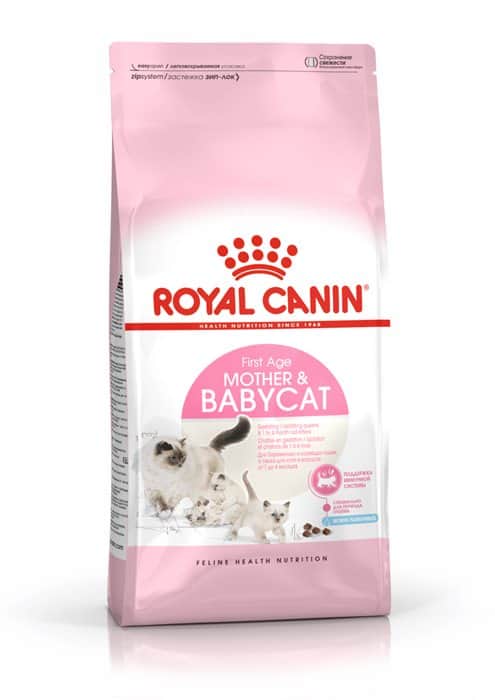 רויאל קנין בייבי קט 4 ק”ג