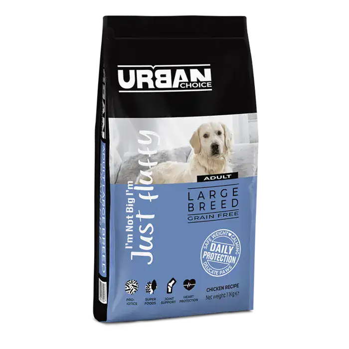 אורבן צ'ויס בוגר גזע גדול 11 ק"ג