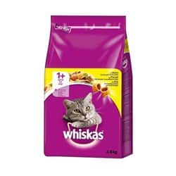 מזון יבש לחתולים וויסקס טעם עוף 3.7 ק"ג Whiskas dry food chicken