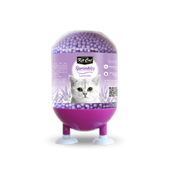 ספרינקלס - חרוזים ריחניים בריח לבנדר 240 גרם קיט קט | KIT CAT